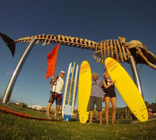 Pepino a Kristyna surfkurz