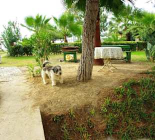 Inspirationen an d.Strandprom.entlang Nov.2010