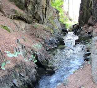 Waalweg Richtung Schluderns, naturbelassen