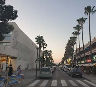 Stadtrundfahrt Alcudia