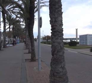 Carretera Del Arenal Balneario