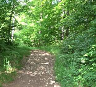 Premiumwanderweg "hochgelegen"