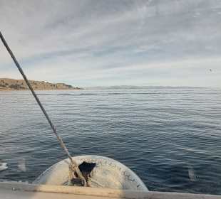 Der Weg ist das Ziel