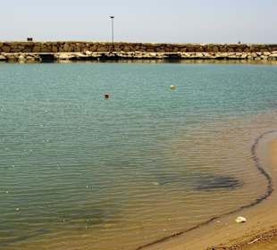Am Hafen von Evrenseki Ende Mai