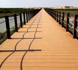 Al Thakira Mangroves