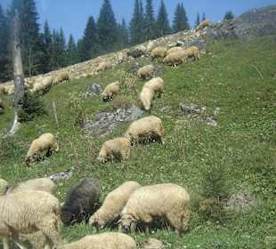 Parcul Natural Apuseni