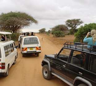 Jagdt nach dem besten Bild