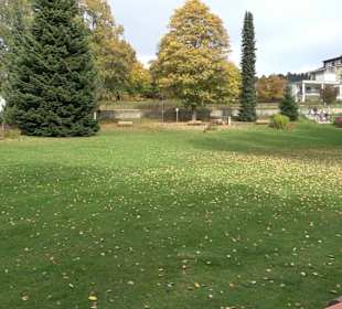 Stadtrundgang Titisee