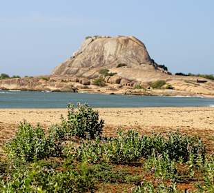 Tour mit Chamin, Yala Nationalpark