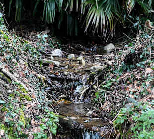 Wandern Pura