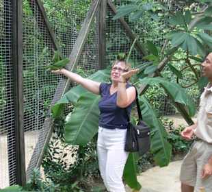 Manati park bavaro