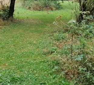 Schaugarten Eninger Weide