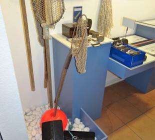 Rundgang durch das Museum für Wattenfischerei