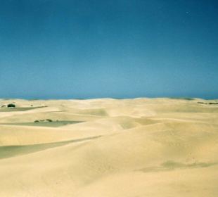 Dünen bei Maspalomas
