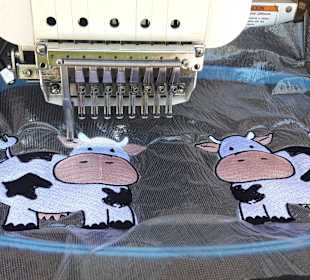 Stadtrundgang Magaluf