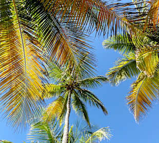 Impressionen von der Plage de la Caravelle