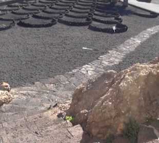 Monumento del Campesino