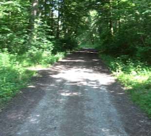 Waldinformationssystem „Lebendiger Wald“