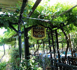 Taverna Ampeli (Restauracja)