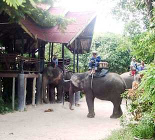Elephant Village