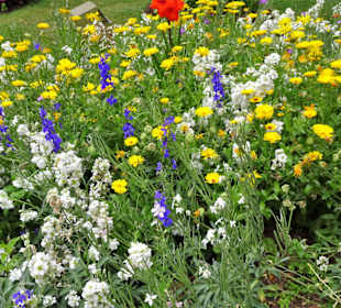 Impressionen aus dem Stadtpark von Funchal