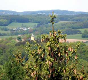 Schlossansicht vom Aussichtsturm