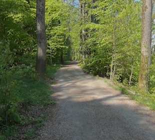 Rundwanderweg 