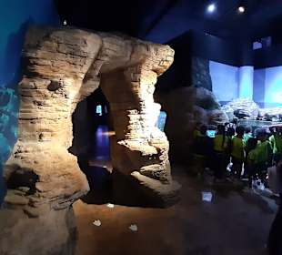 National Aquarium Malta