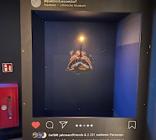 Aquazoo Löbbecke Museum Düsseldorf