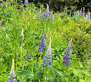 Wandern Verwall St. Anton am Arlberg