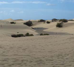 Sand soweit das Auge reicht
