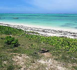 Makunduchi Strand