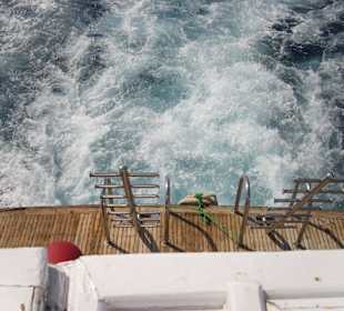 Volle Fahrt vorraus zu den Riffen