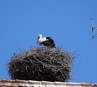 Altstadt Dinkelsbühl