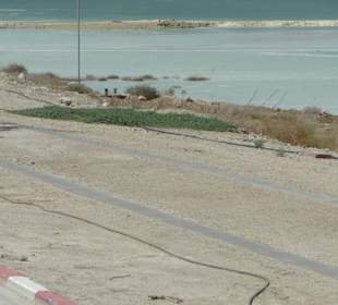 Już widać oleistość