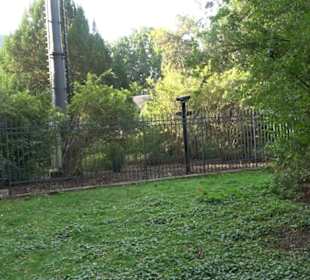 Englischer Garten