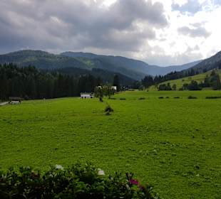 Wandern St. Martin im Lammertal