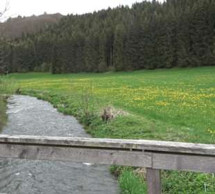 Premiumwanderweg Hochgebürzelt