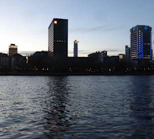 Blick von Main (Sachsenhausen)