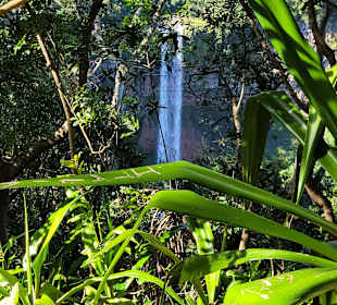 Der Wasserfall 