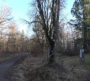 Wanderung rund um den Ochsenweiher