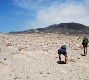 In der Zielgeraden zum Jeep
