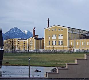 Auf dem Weg zum Stiegl Bräu