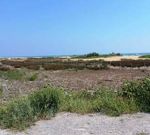 Richtung Hafengebiet