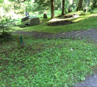 Waldfriedhof Altensteig