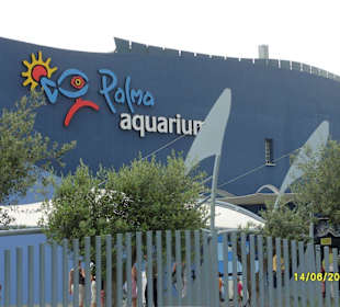 Palma Aquarium
