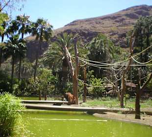 Palmitos Park