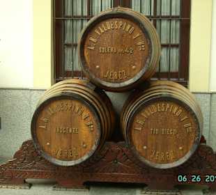 Bodega - Tio Mateo