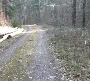 Rundwanderung durch den Rauhen Rammert Hemmendorf