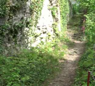 Wallersteiner Felsen